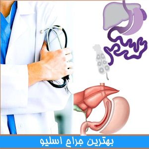 بهترین جراح اسلیو